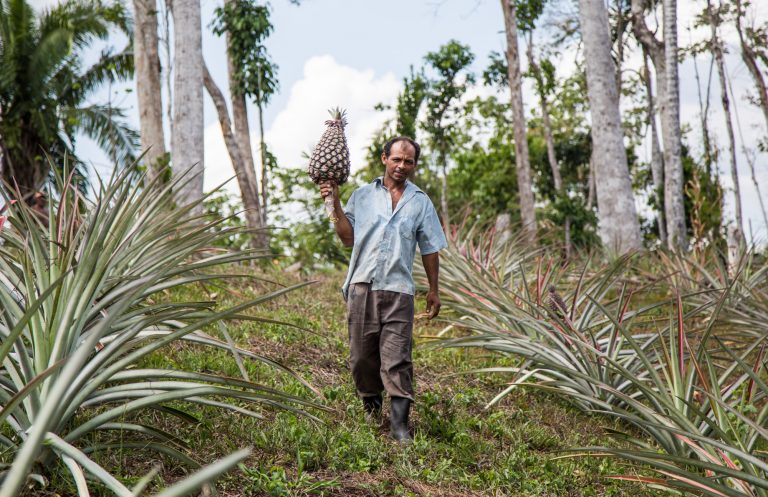 ACRE: Governo aprova R$ 38,5 milhões em projetos para agricultura familiar