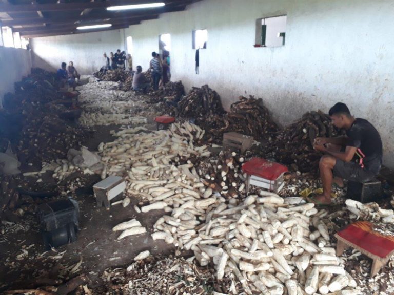 Auditores do Trabalho resgatam 87 trabalhadores no agreste alagoano