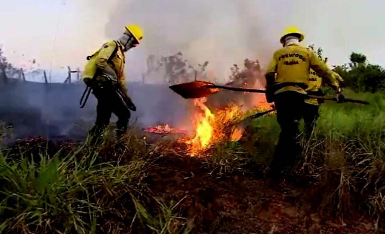 Gladson encaminha ofício a Bolsonaro pedindo auxílio das Forças Armadas para o combate às queimadas no Acre