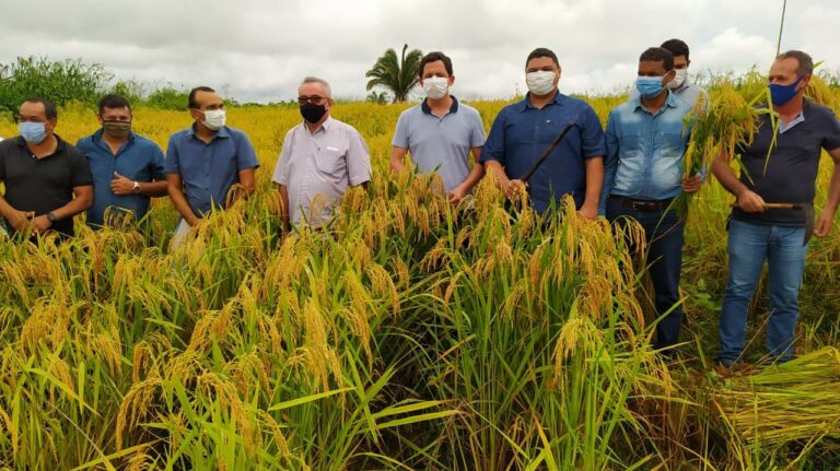 Prefeito Camilo Silva implanta programa de mecanização agrícola e transferência de tecnologias para agricultores de Plácido de Castro