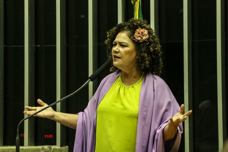 Deputada Perpétua Almeida vota contra MP que autoriza a privatização da Eletrobras