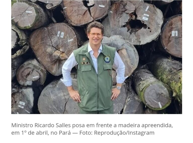 STF autoriza quebra sigilo de Ministro do Meio Ambiente  e afasta  presidente  do IBAMA