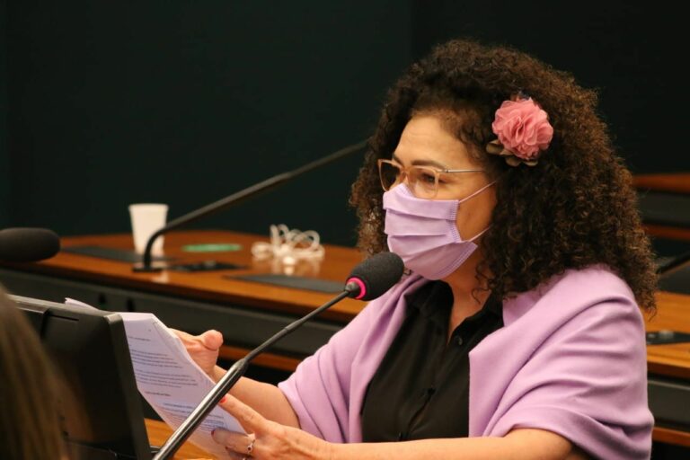 Perpétua solicita informações sobre recursos utilizados por Bolsonaro no 7 de Setembro