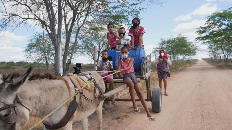 Agricultora percorre 10 km por dia com os netos para conseguir água no interior de Alagoas: ‘Ou faz ou passa sede’