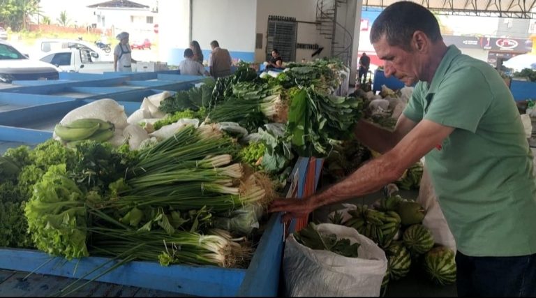Em Cruzeiro do Sul, Programa de Aquisição de Alimentos melhora vida do produtor e a alimentação nas instituições sociais