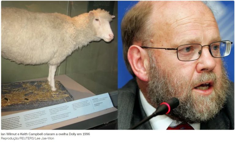 “Pai da ovelha Dolly”, cientista responsável por clonagem morre aos 79 anos