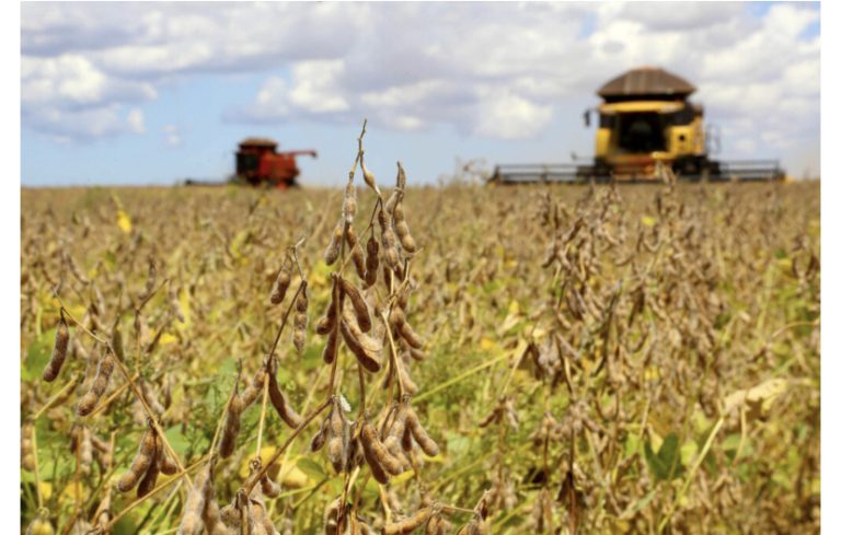 Valor das lavouras do Acre sobe 11,3% com fluxo de R$ 97 milhões a mais que 2022