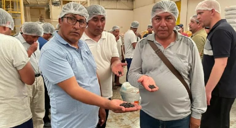 Empresários peruanos fecham acordo para exportar 160 toneladas de ração de proteína animal para o Peru