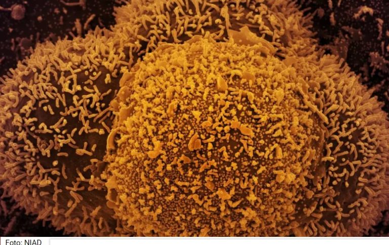 Primeiro registro no Brasil: nova subvariante da covid-19 é identificada em Mato Grosso