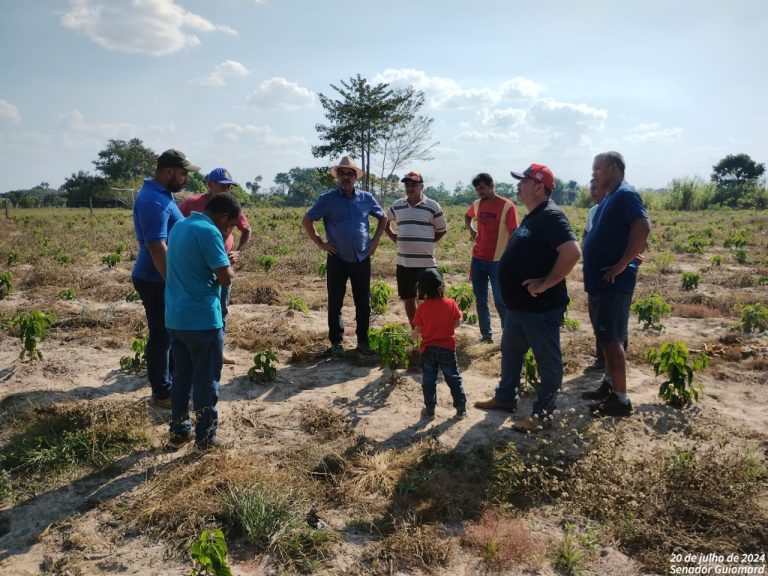 Emenda de Edvaldo Magalhães no valor de R$ 80 mil garante desenvolvimento da cafeicultura no Projeto de Assentamento Petrolina, no Quinari