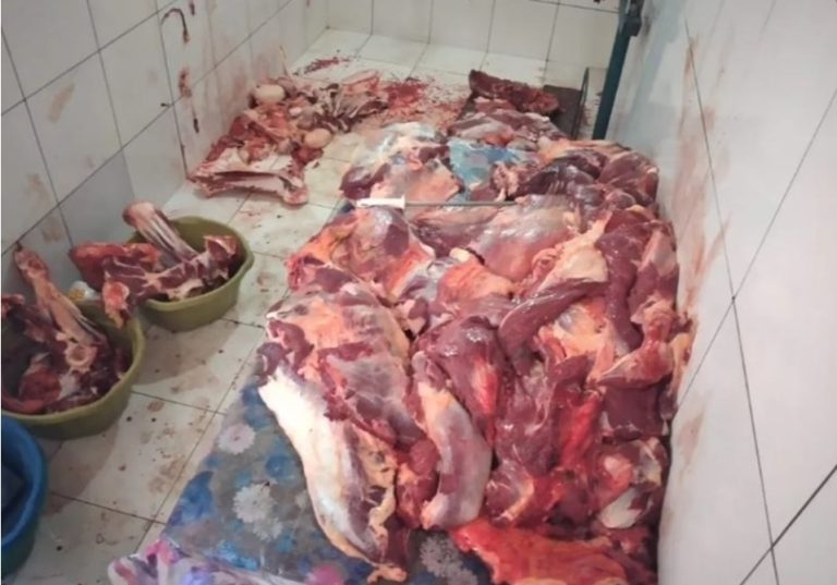 MPAC abre investigação rigorosa em Feijó sobre venda de carne  clandestina no município
