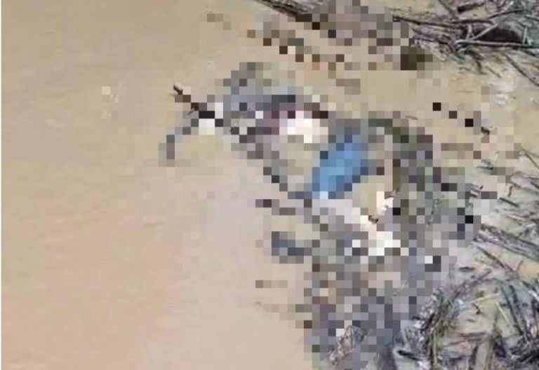 Corpo é encontrado boiando no rio Envira, próximo à Aldeia Nova Vida, em Feijó