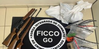 video:-grupo-que-vendia-armas-de-guerra-em-goias-e-alvo-de-operacao