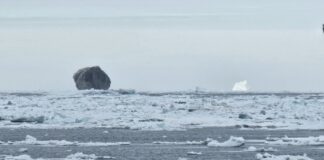 conto-de-pescador?-homem-registra-foto-rara-de-iceberg-preto-no-canada