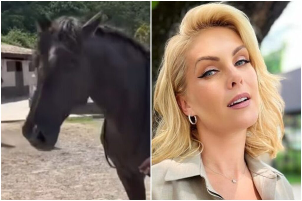 entenda-por-que-banco-pede-penhora-do-cavalo-de-ana-hickmann