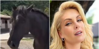entenda-por-que-banco-pede-penhora-do-cavalo-de-ana-hickmann