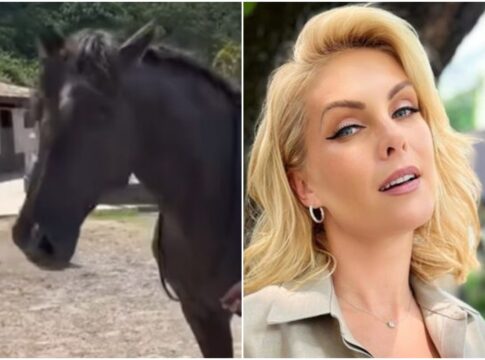 entenda-por-que-banco-pede-penhora-do-cavalo-de-ana-hickmann