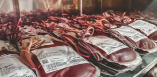 dia-mundial-do-doador-de-sangue:-uma-unica-doacao-pode-salvar-3-vidas