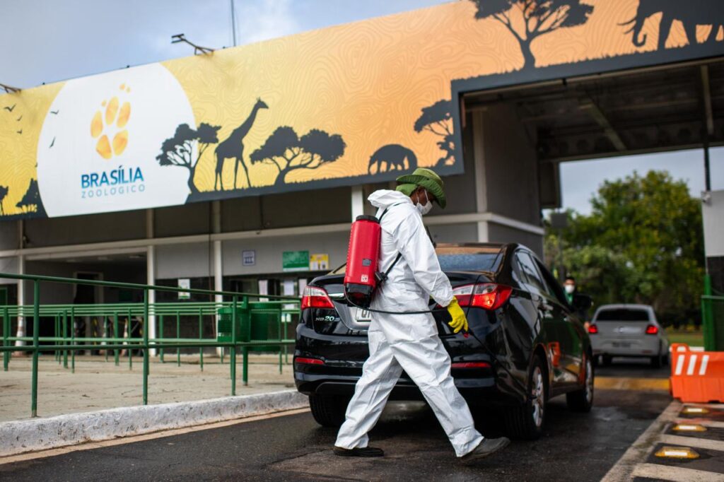 gripe-aviaria:-saude-df-monitora-equipe-do-zoo-apos-contato-com-ave