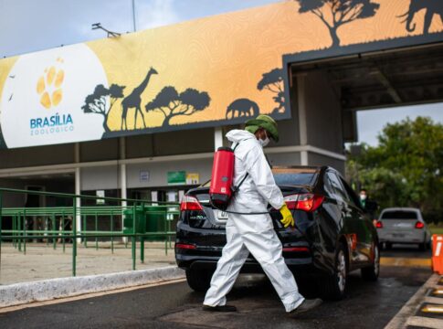 gripe-aviaria:-saude-df-monitora-equipe-do-zoo-apos-contato-com-ave