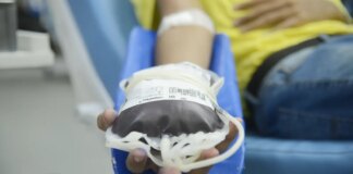 inca:-doacao-voluntaria-de-sangue-e-essencial-ao-tratamento-oncologico
