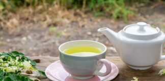 cha-antioxidante-rico-em-vitamina-c-reduz-absorcao-de-colesterol