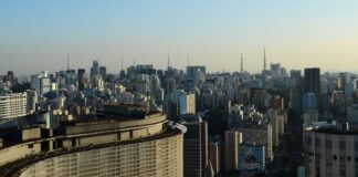 predios-com-vidracas-nas-cidades-ameacam-aves,-aponta-pesquisa