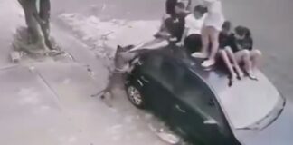 video:-criancas-sobem-em-carro-para-se-defender-de-ataque-de-pit-bull