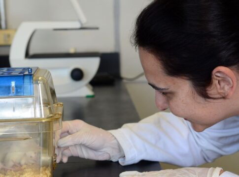 tecidos-feitos-em-laboratorio-podem-aperfeicoar-testes-de-medicamentos