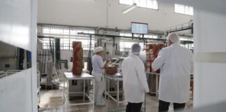 pais-recebera-r$1,3-bi-de-fundos-externos-para-descarbonizar-industria
