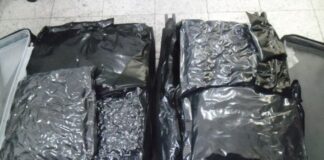 pf-prende-13-traficantes-e-foragidos-da-justica-em-aeroporto-de-sp