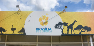 ave-que-testou-positivo-para-gripe-aviaria-era-do-plantel-do-zoo-do-df