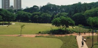 governo-tarcisio-abre-consulta-publica-para-privatizar-6-parques-de-sp