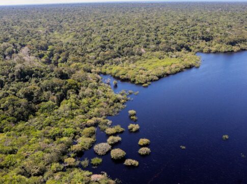 fundo-amazonia-bate-recorde-ao-destinar-mais-de-r$-1-bilhao-em-2025
