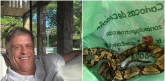 ator-de-a-viagem-que-vive-em-floresta-faz-alerta-apos-picada-de-cobra