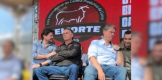 bolsonaro-sobre-tarcisio:-“sentiu-gostinho-da-politica,-nao-sai-mais”