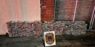 pf-apreende-quase-meia-tonelada-de-cocaina-dentro-de-caminhao-bitrem