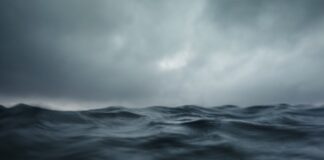 cientistas-descobrem-centenas-de-virus-gigantes-presentes-nos-oceanos