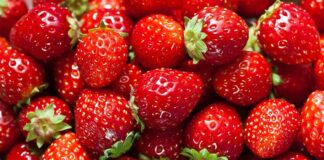 pesquisadores-descobrem-o-que-ninguem-queria-ver-em-morangos