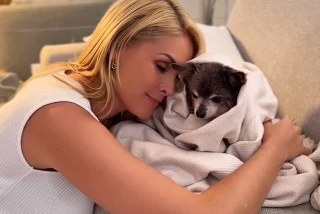 ana-hickmann-lamenta-morte-do-segundo-cachorrinho-em-duas-semanas