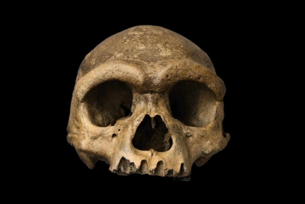 “homem-dragao”:-cientistas-acham-origem-de-caveira-de-146-mil-anos