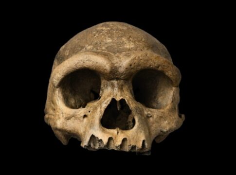 “homem-dragao”:-cientistas-acham-origem-de-caveira-de-146-mil-anos
