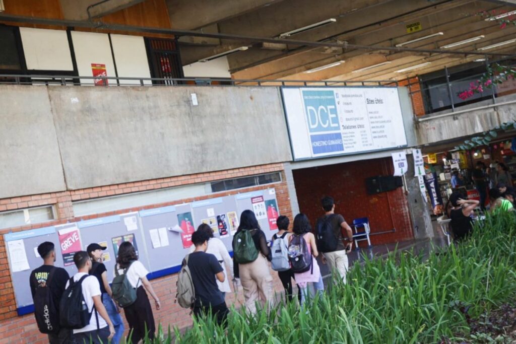 chinesa,-professora-da-unb-foi-espionada-102-vezes-pela-abin-paralela