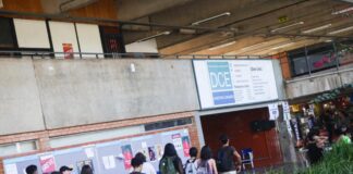 chinesa,-professora-da-unb-foi-espionada-102-vezes-pela-abin-paralela