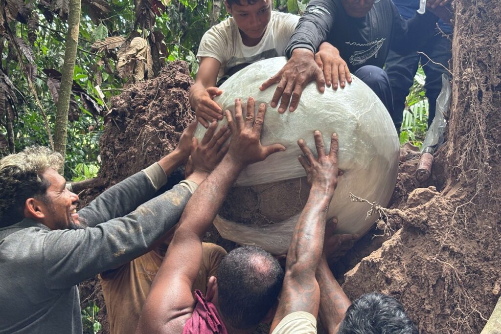 “mortos-ficavam-embaixo-das-arvores”,-dizem-arqueologos-da-amazonia