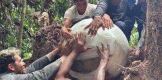 “mortos-ficavam-embaixo-das-arvores”,-dizem-arqueologos-da-amazonia