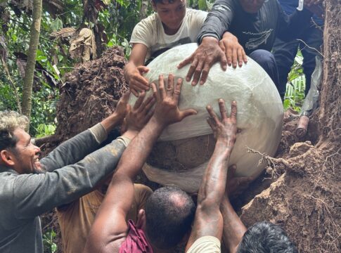 “mortos-ficavam-embaixo-das-arvores”,-dizem-arqueologos-da-amazonia