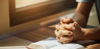 ia-ajuda-a-desvendar-misterio-sobre-autoria-da-biblia