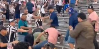 video:-torcedores-de-botafogo-e-psg-brigam-durante-jogo-do-mundial