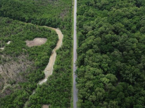 construcao-de-estradas-impacta-mangue-amazonico